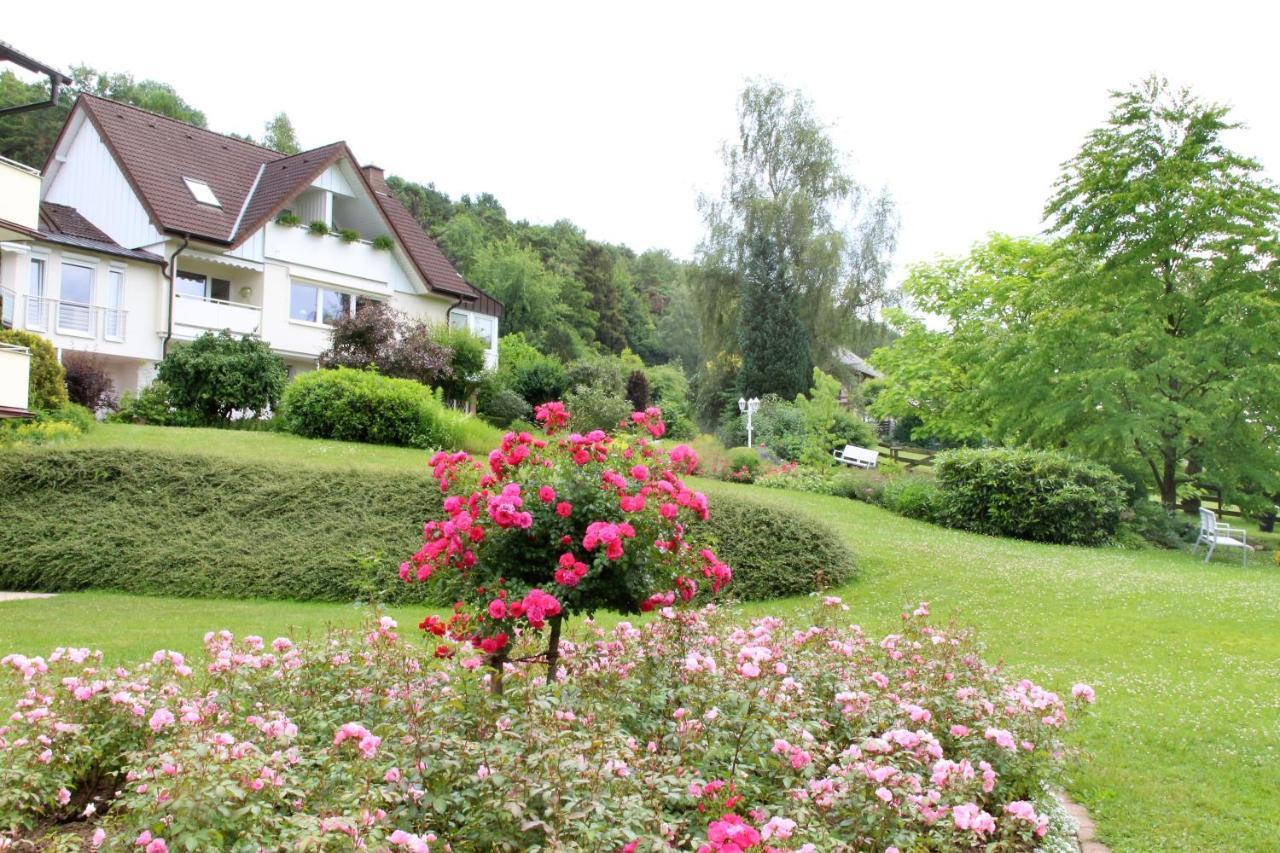 Haus Am Steinberg Διαμέρισμα Bad Driburg Εξωτερικό φωτογραφία