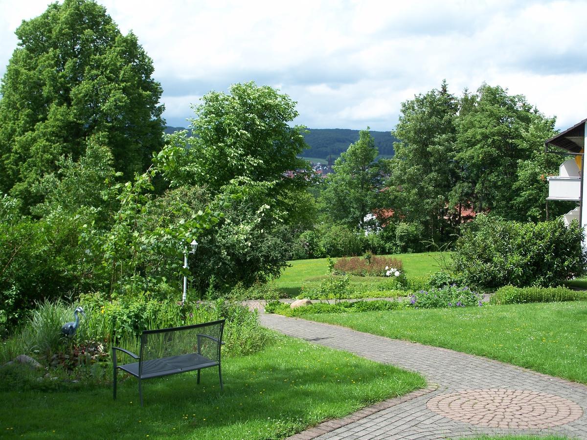 Haus Am Steinberg Διαμέρισμα Bad Driburg Εξωτερικό φωτογραφία