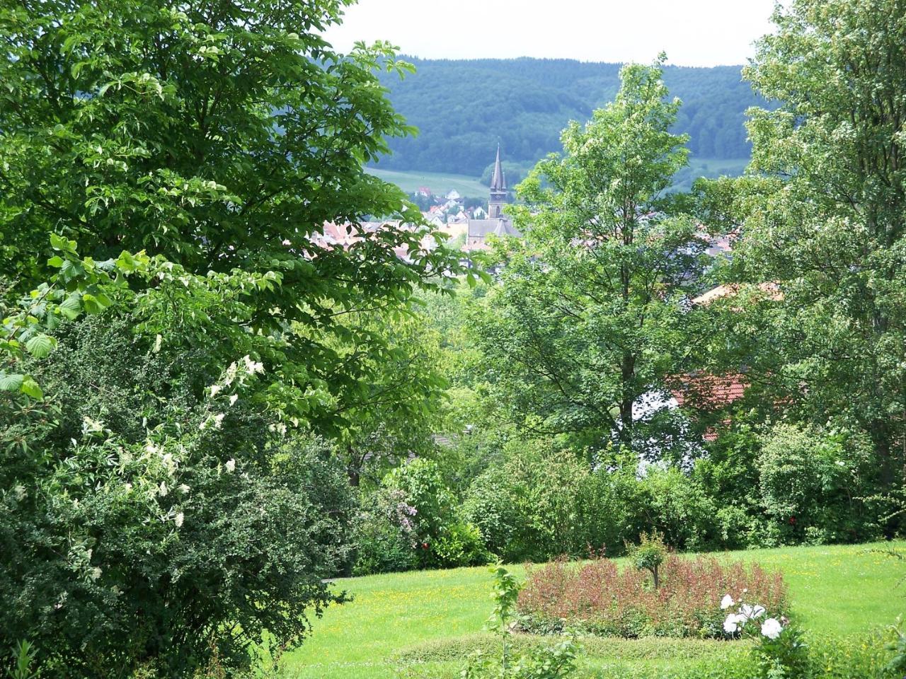 Haus Am Steinberg Διαμέρισμα Bad Driburg Εξωτερικό φωτογραφία